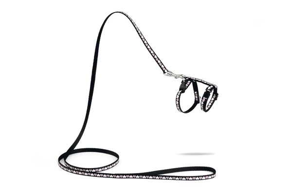 Beeztees Yavru Kedi Göğüs Tasması ve Gezdirme Kayışı 120cm, Siyah, 16-25cm Boyun, 23-36cm Göğüs