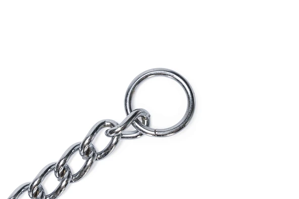 Beeztees Köpek Boyun Tasması, Zincir, 80x1x0,40cm - Resim 5