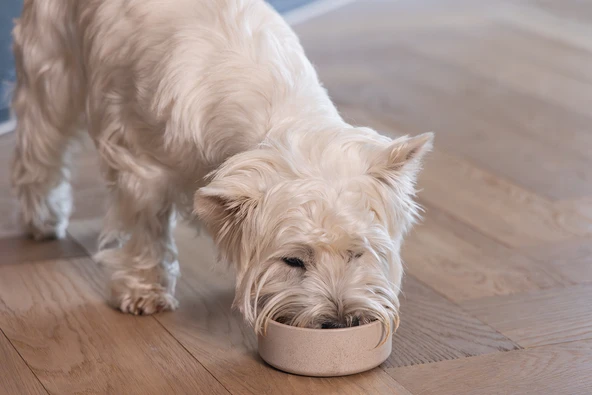 Beeztees DBL Köpek Mama Su Kabı, Bambu, Bej, 12cm, 300ml - Resim 5