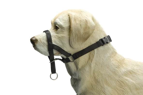 Beeztees Köpek Eğitim Tasması, Baş Kontrollu, Siyah, L