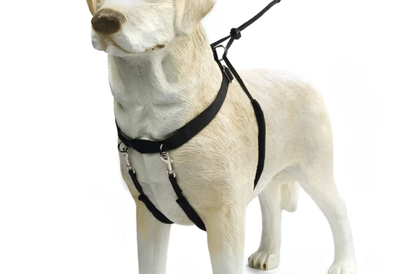 Beeztees Köpek Yürüyüş Eğitim ve Düzeltme Tasması, XL - Resim 3