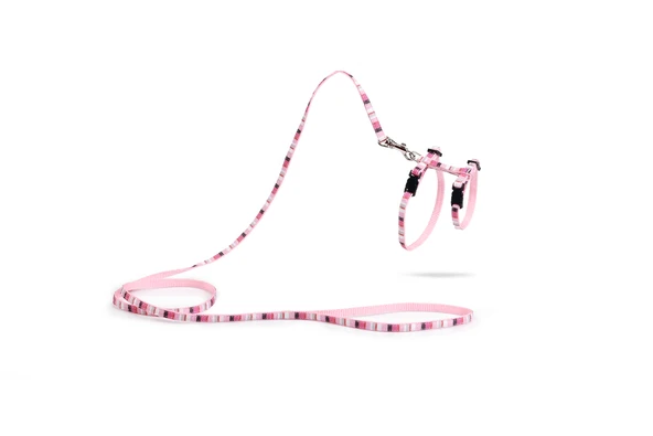 Beeztees Yavru Kedi Göğüs Tasması ve Gezdirme Kayışı, 120cm, Pembe, 15-33cm