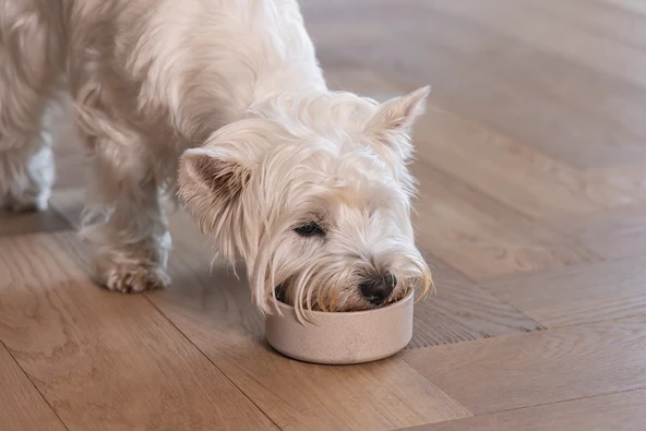 Beeztees DBL Köpek Mama Su Kabı, Bambu, Bej, 12cm, 300ml - Resim 3