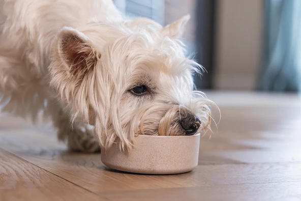 Beeztees DBL Köpek Mama Su Kabı, Bambu, Bej, 12cm, 300ml - Resim 6