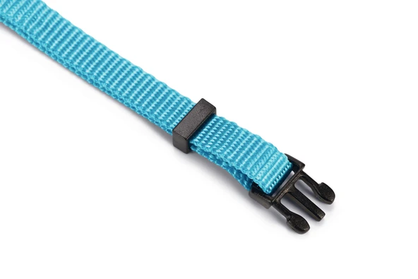 Beeztees Kedi Boyun Tasması, Zilli, Turkuaz, 20-30cm - Resim 4