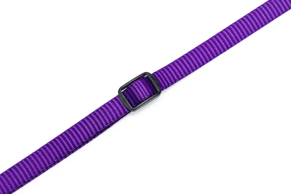 Beeztees Yavru Köpek Boyun Tasması, Çeşitli Renklerde, 22-35cm, 10mm - Resim 8