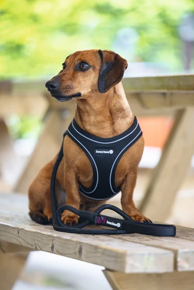 Beeztees Köpek Göğüs Tasması, Neopren, Siyah, XS, 30-35cm - Resim 4
