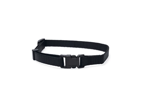Beeztees Yavru Köpek Boyun Tasması, Çeşitli Renklerde, 22-35cm, 10mm