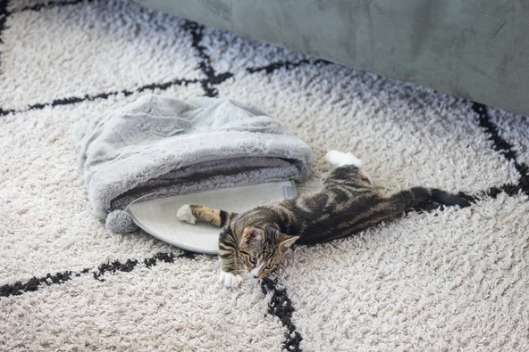 Beeztees Yavru Kedi Oyun Yatağı, Oyuncaklı, 50x40x15cm - Resim 3