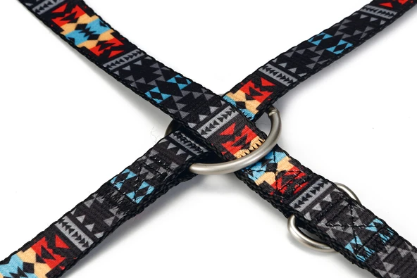 Beeztees Köpek Gezdirme Kayışı, Desenli, 200cm, 20mm - Resim 2