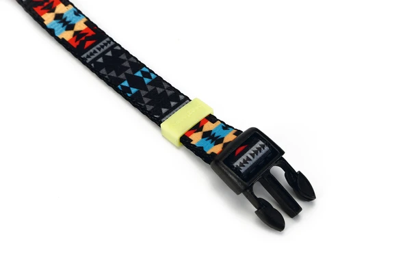 Beeztees Köpek Boyun Tasması, Renkli Desenli, 48-70cm, 25mm - Resim 2