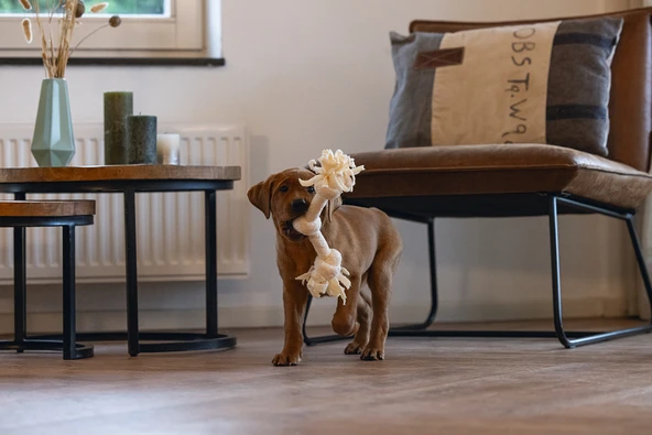 Beeztees Yavru Köpek Oyuncağı, Çift Düğümlü Diş İpi, Peluş, Pembe, 30x6x4,5cm - Resim 3