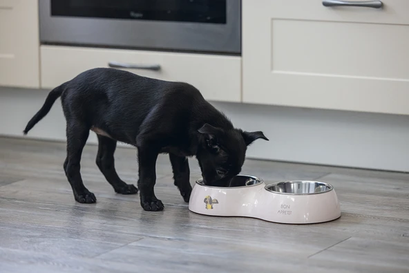 Beeztees Köpek İkili Mama ve Su Kabı, Paslanmaz Çelik, Pudra Pembe, 34x17,5cm, 2x350ml - Resim 2