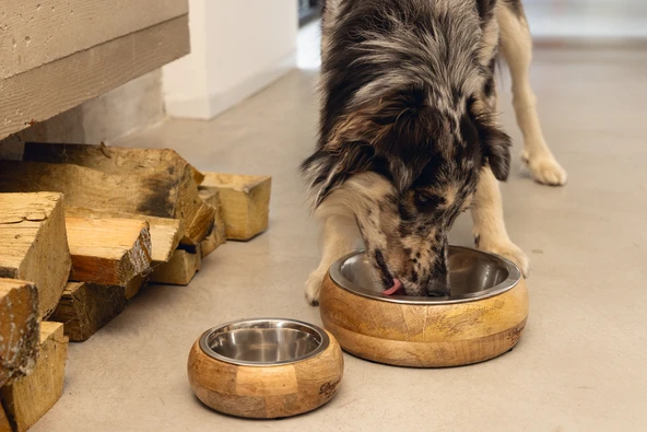 Beeztees DBL Köpek Mama Su Kabı, Dışı Masif Ahşap, Paslanmaz Çelik, 21cm, 1300ml - Resim 2