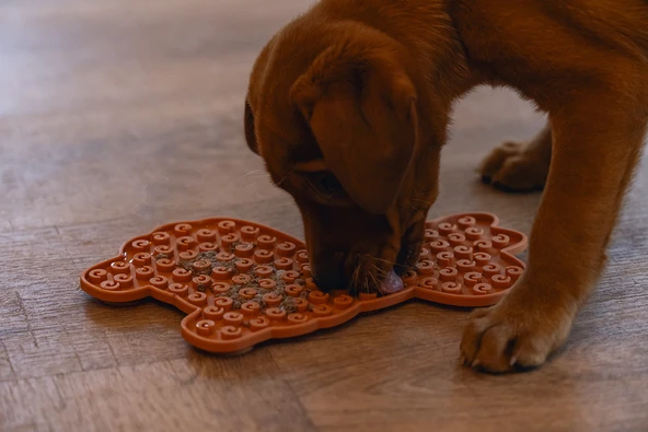 Beeztees Yavru Köpek Mama Yeme Oyuncağı, Lama Şeklinde, Silikon, Kahverengi, 25x22cm - Resim 5