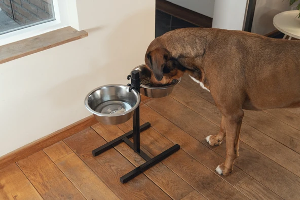 Beeztees Köpek İkili Mama Su Kabı, Ayaklı, Paslamaz Çelik, 28cm, 2x4,5L - Resim 2