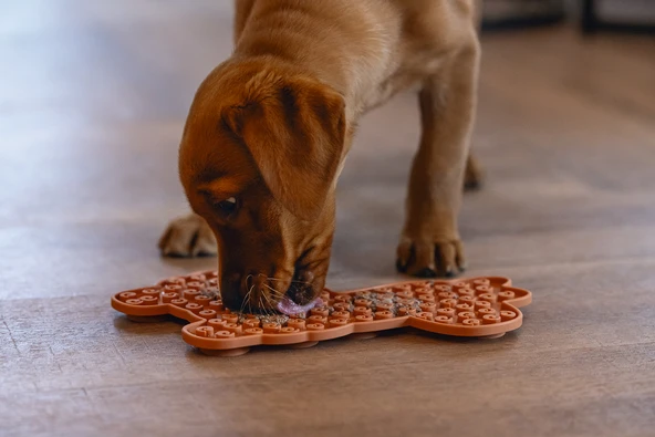 Beeztees Yavru Köpek Mama Yeme Oyuncağı, Lama Şeklinde, Silikon, Kahverengi, 25x22cm - Resim 3