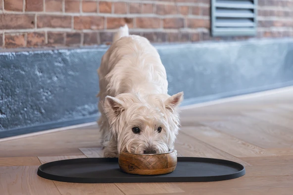 Beeztees DBL Mama Su Kabı Servisi, Silikon, Kaymaz, Antrasit, 45x25x1,5cm - Resim 3