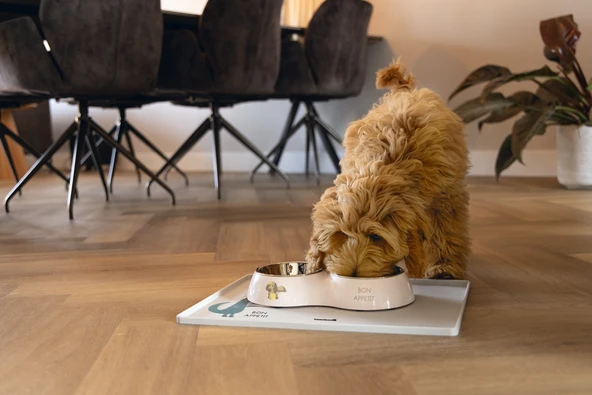 Beeztees Köpek İkili Mama ve Su Kabı, Paslanmaz Çelik, Pudra Pembe, 27x14cm, 2x160ml - Resim 2