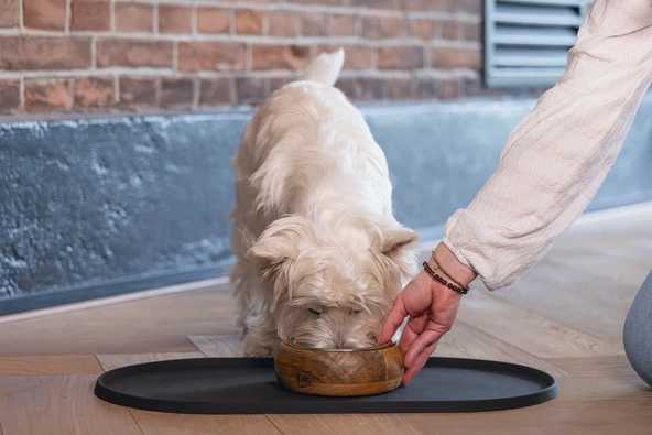 Beeztees DBL Köpek Mama Su Kabı, Dışı Masif Ahşap, Paslanmaz Çelik, 16,5cm, 650ml - 6