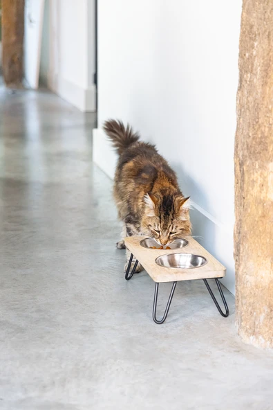 Beeztees DBL Kedi İkili Mama ve Su Kabı, Paslanmaz Çelik, Beyaz, 31x16x10cm, 2x350ml - Resim 11