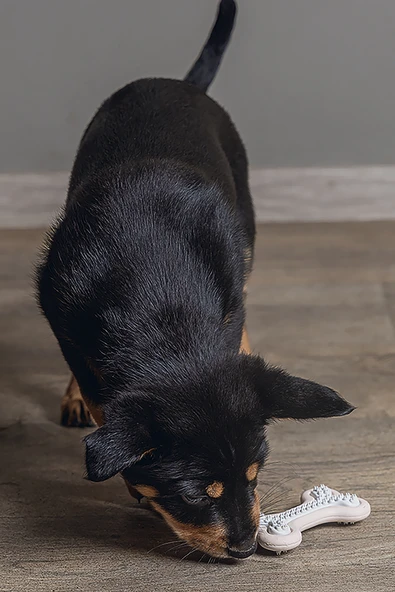 Beeztees Yavru Köpek Diş Oyuncağı, İçi Dolu Halka, Kauçuk, Pembe, 10cm - Resim 5