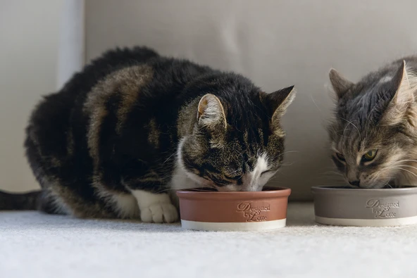 Beeztees DBL Kedi Mama Su Kabı, Seramik, Mat Kiremit, 12cm, 300ml - Resim 2