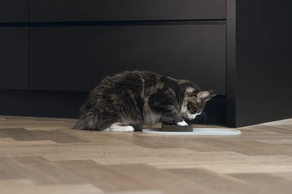 Beeztees DBL Mama Su Kabı Servisi, Silikon, Kaymaz, Bej, 45x25x1,5cm - Resim 5