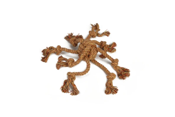 Beeztees Köpek Oyuncağı, Diş İpi Ahtapot Şeklinde, Pamuk İplerden, 32cm ürün görseli