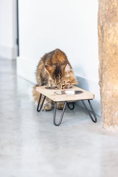 Beeztees DBL Kedi İkili Mama ve Su Kabı, Paslanmaz Çelik, Beyaz, 31x16x10cm, 2x350ml - Resim 12