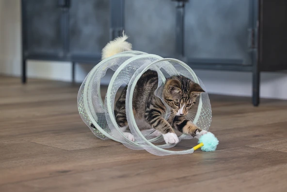 Beeztees Yavru Kedi Tüneli, Spiral Şeklinde, 60x25x25cm - Resim 5