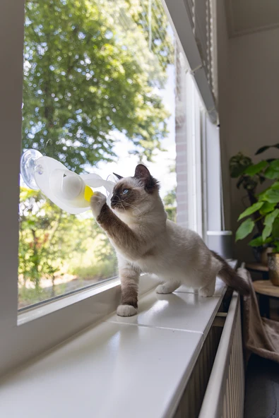 Beeztees Yavru Kedi Oyuncağı, Cama Tutturulabilir, 52x4x9cm - Resim 2