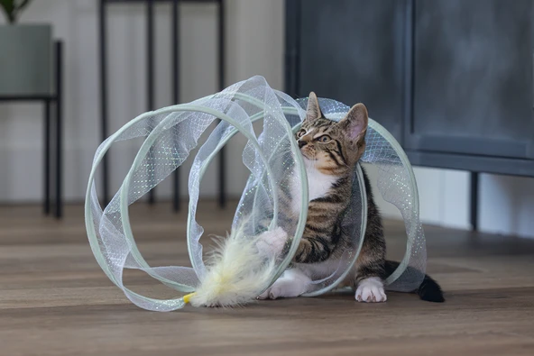 Beeztees Yavru Kedi Tüneli, Spiral Şeklinde, 60x25x25cm - Resim 9