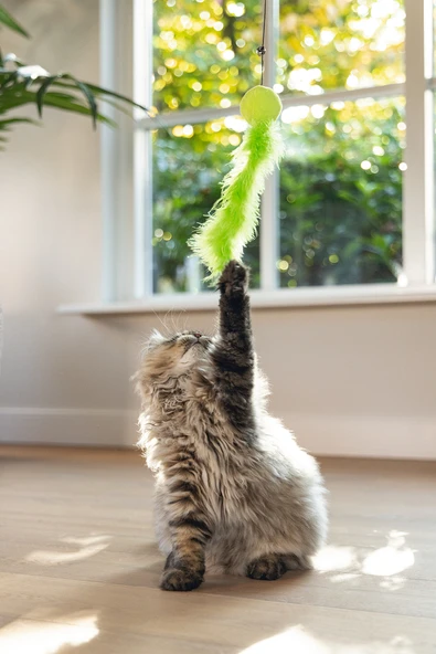 Beeztees Kedi Oltası, Zilli, Peluş Top ve Kuyruk, - Resim 4