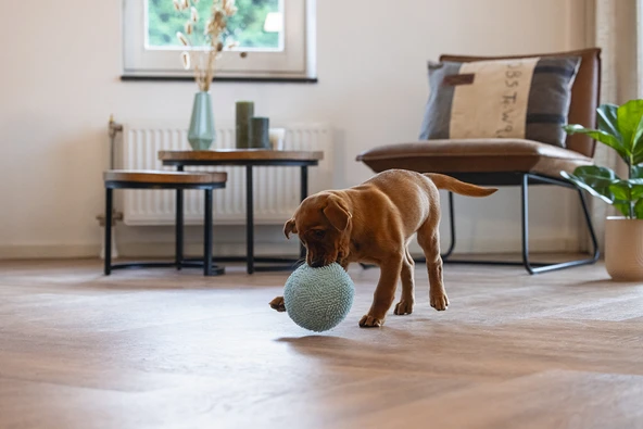 Beeztees Yavru Köpek Oyuncağı, Top, Peluş, Mavi, 14cm - Resim 2