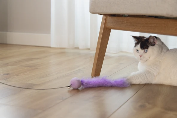 Beeztees Kedi Oltası, Zilli, Peluş Top ve Kuyruk, - Resim 2