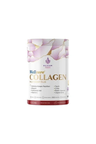 Wellcare Collagen Multi Boost Plus Toz Form 10.000 mg 345 gr