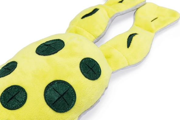 Beeztees Köpek Ödül Saklama Oyuncağı, Kurbağ, Peluş, Sarı, 31x20x7cm - Resim 4