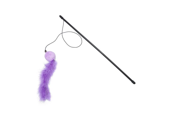 Beeztees Kedi Oltası, Zilli, Peluş Top ve Kuyruk, - Resim 9