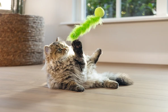 Beeztees Kedi Oltası, Zilli, Peluş Top ve Kuyruk, - Resim 3