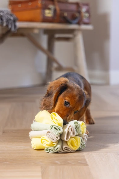 Beeztees Köpek Ödül Saklama Oyuncağı, Top, Polar, Gri/Yeşil, 13cm - 8