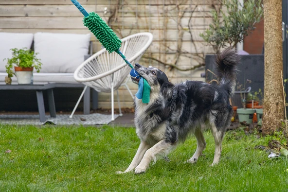 Beeztees Köpek Oyuncağı, Tut Getir Tenis Toplu, Peluş, Mavi-Yeşil, 90x10x6cm - Resim 9