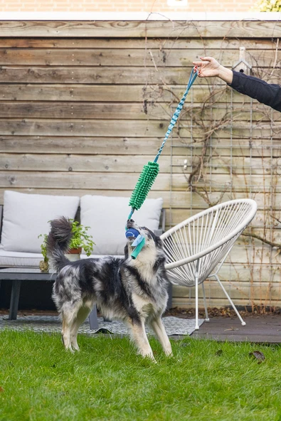 Beeztees Köpek Oyuncağı, Tut Getir Tenis Toplu, Peluş, Mavi-Yeşil, 90x10x6cm - Resim 5