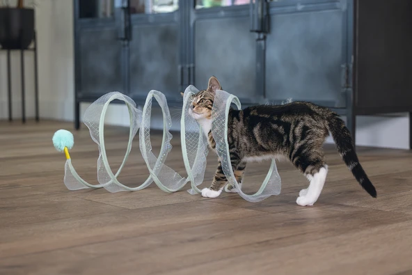 Beeztees Yavru Kedi Tüneli, Spiral Şeklinde, 60x25x25cm - Resim 3