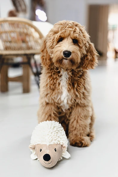 Beeztees Köpek Oyuncağı, Kirpi, Peluş, Beyaz, 26x14x15cm - Resim 4