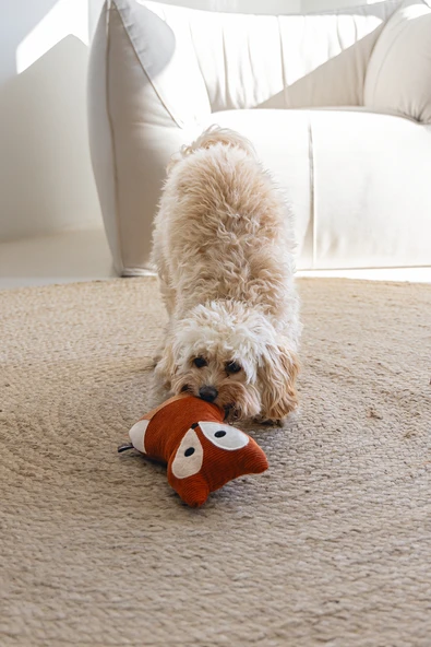 Beeztees DBL Köpek Oyuncağı, Sesli, Tilki, Peluş, Turuncu, 25,5cm - Resim 4