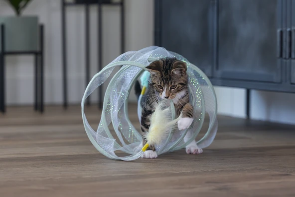 Beeztees Yavru Kedi Tüneli, Spiral Şeklinde, 60x25x25cm - Resim 11