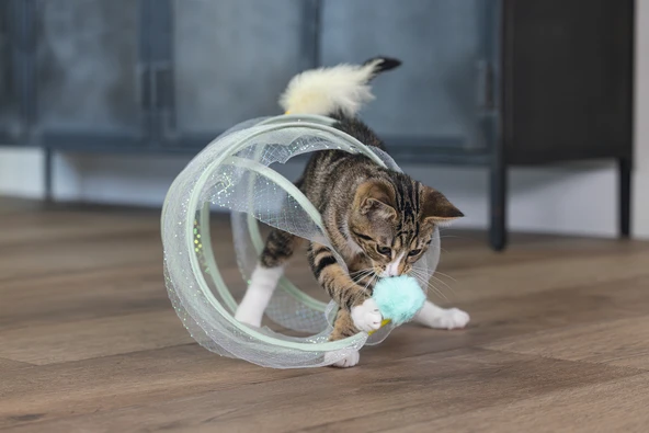 Beeztees Yavru Kedi Tüneli, Spiral Şeklinde, 60x25x25cm - Resim 12