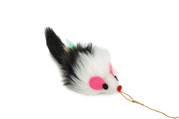 Beeztees Kedi Oltası, Peluş Fare Uc-14cm, Dayanıklı ip, 50cm - Resim 2