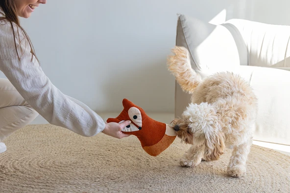 Beeztees DBL Köpek Oyuncağı, Sesli, Tilki, Peluş, Turuncu, 25,5cm - Resim 3